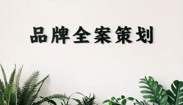 品牌全案策划中内容制作的误区与实际环节解析