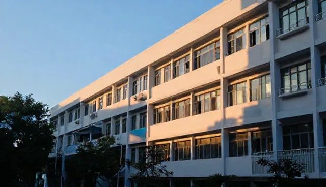 平台算法在创意设计中的应用与限制分析